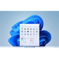 Windows 11 Home, Famille, boîte USB, licence officielle